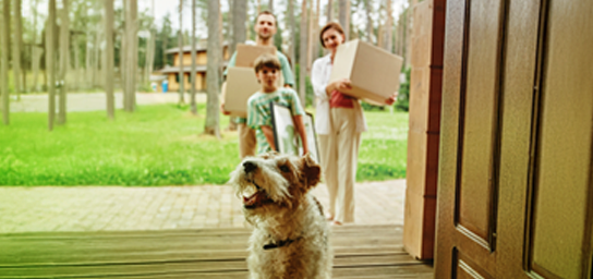 Alege creditul Imobiliar în MDL sau Prima Casă și deschide ușa casei tale!
